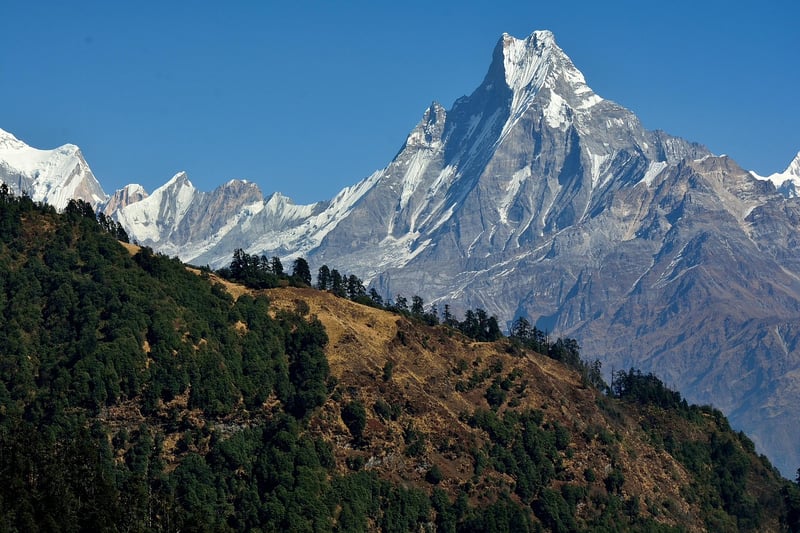 Meditation Sanctuary in the Himalayas